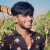 Placed Student